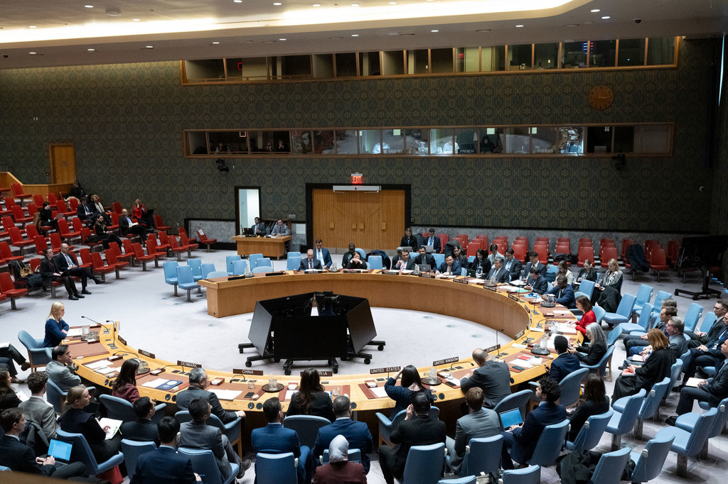 A wide view of the UN Security Council chamber as members hear a briefing from OSCE Chairperson-in-Office.